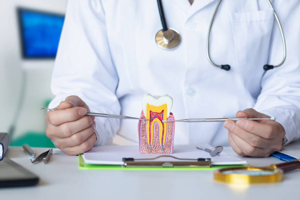 Best Emergency Dentist for Special Needs Patients in Capac, MI